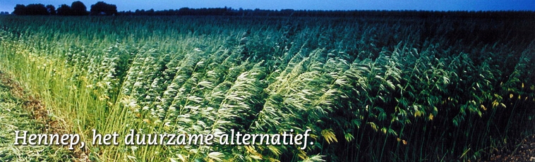 Hempflax