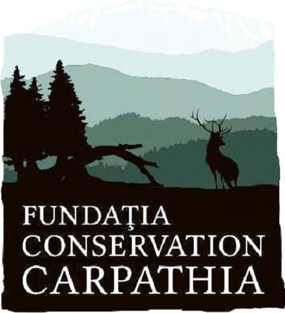 Foundation wil 100.000 ha Roemeens oer-bos kopen