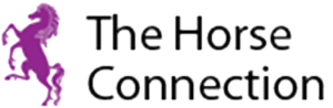The Horse Connection – Een programma voor leiderschap