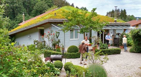 mekelenkamp-2